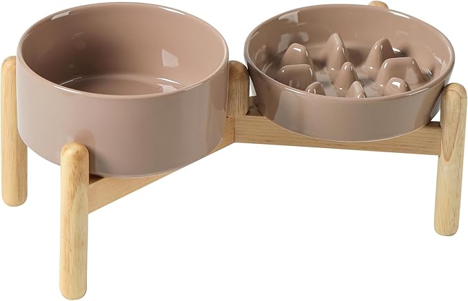 Ceramic 0.9 Cup Raised Slow Feeder Dog Bowl Set, Elevated 6.1inch Slow Dish and by Havniva