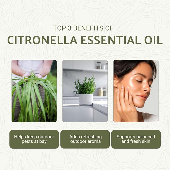 Citronella Essential Oil - Image 2