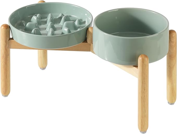 Ceramic 3.2 Cup Raised Slow Feeder Dog Bowl Set, Elevated 8.2inch Bowl and by Havniva