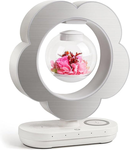 LoveLin Floral Preserved Rose Flowers by Unknown
