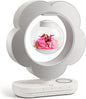 LoveLin Floral Preserved Rose Flowers by Unknown