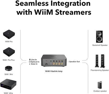 WiiM Vibelink Amp | 100W Power Amplifier - Image 4