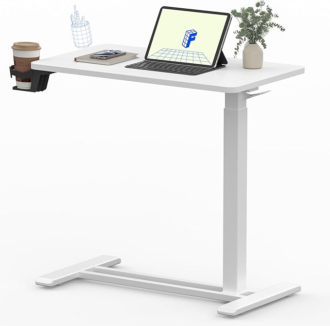 FLEXISPOT Mobile Standing Desk by FlexiSpot
