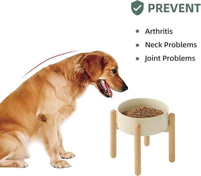 Ceramic 8.2inch Raised Dog Bowl - Image 5