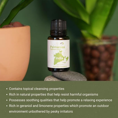 Palmarosa Essential Oil Direct from Norex Flavours India - Image 2