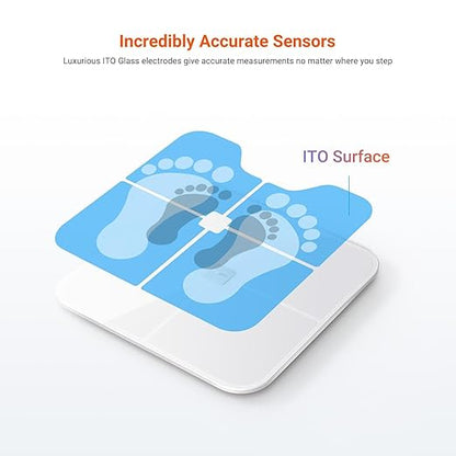 iHealth Nexus Smart Scale for Body Weight Bluetooth, Digital Bathroom Scale - Image 5