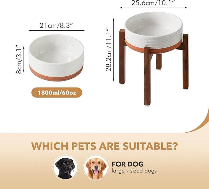 Ceramic 8.2inch Raised Dog Bowl Set, Elevated - Image 2