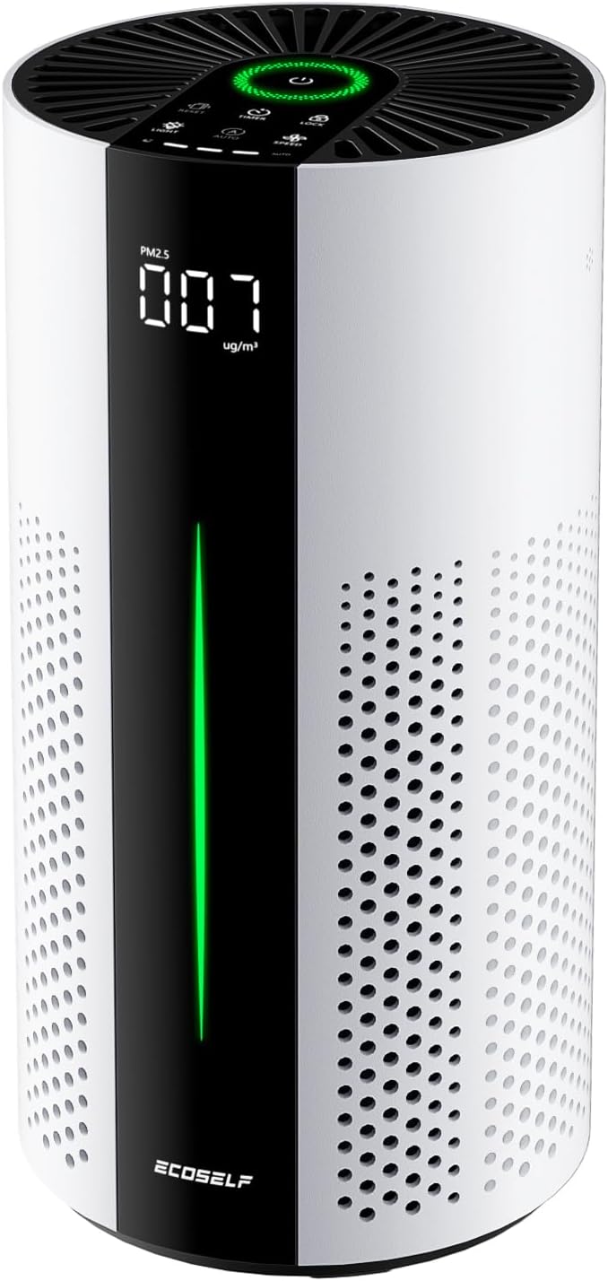 ecoself air purifiers for home large room up, main product view