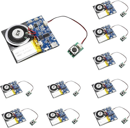 XLW Sound Module, 16MB Push Button Activated Sound Module by XLW