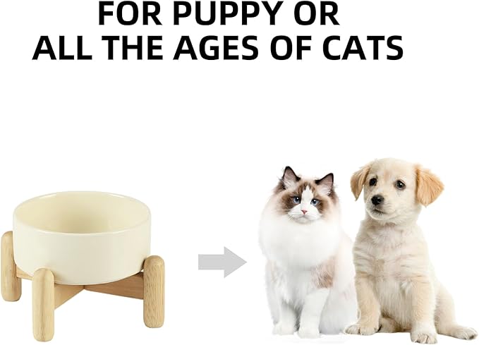Ceramic 5.1inch Raised Dog and Cat Bowl Set, Elevated - Image 4