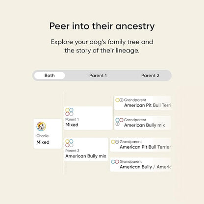 Embark Breed & Health Kit - Image 6
