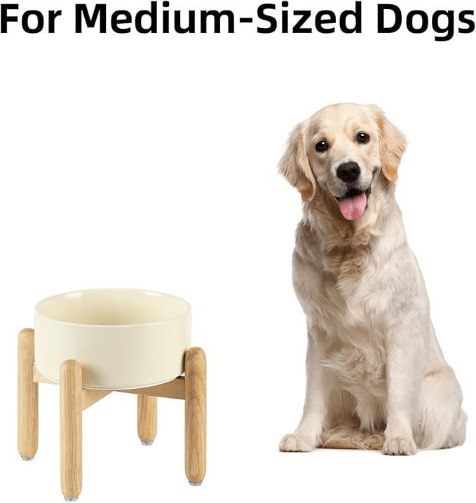 Ceramic 7.3inch Raised Dog Bowl Set, Elevated - Image 4