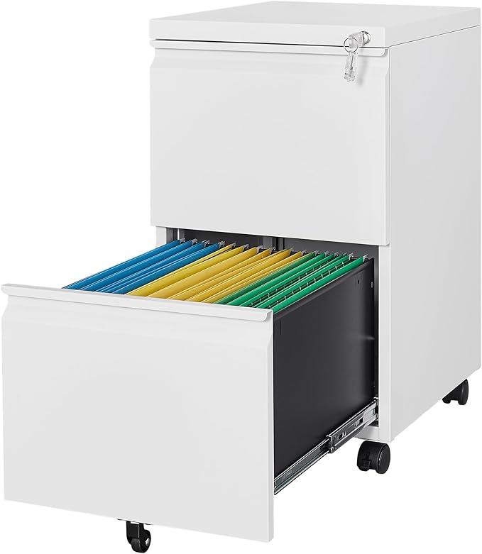 Letaya 2 Drawer Mobile File Cabinet by LetayaMetalCabinets