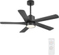 WINGBO 48 Inch DC Ceiling Fan by HomePage