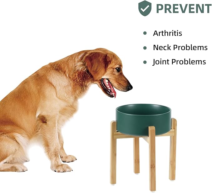 Ceramic Raised Dog Bowl Set, Elevated Dog Bowl - Image 5