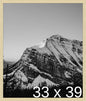 Frame It Easy 33 x 39 Wheat Wood Frame by FrameItEasy