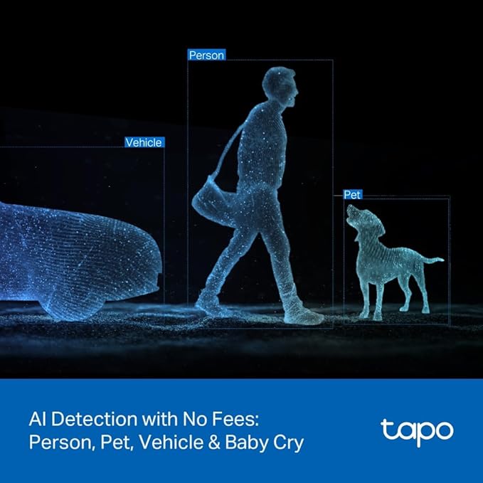 Tapo 2K Indoor/Outdoor Dual Lens Pan/Tilt Wired Security Camera - Image 7