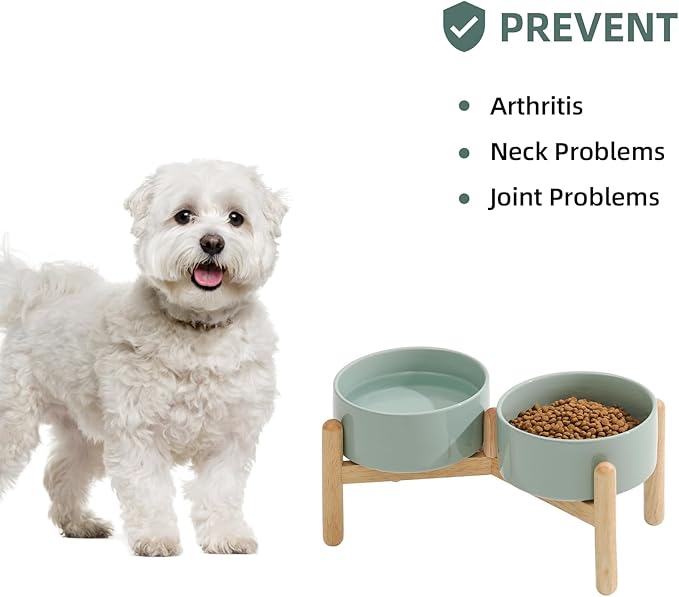 Ceramic 6.1inch Raised Dog Bowl - Image 5