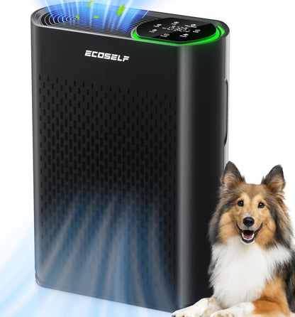 air purifier for large room, cleans 2,400 ft², main product view