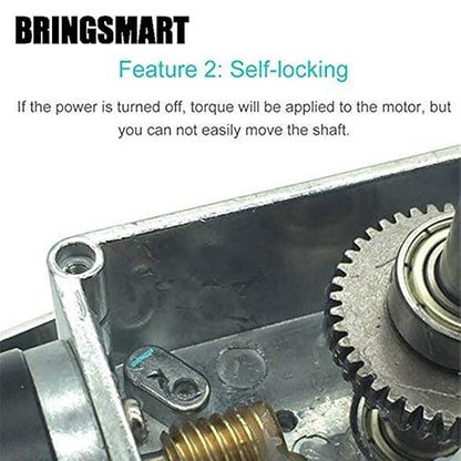 Bringsmart Self-Locking 24V 160rpm DC Worm Gear Motor 10kg.cm Reversed Mini - Image 4