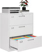 3 Drawer File Cabinets for Home Office, Metal Filing Cabinet by AFAIF