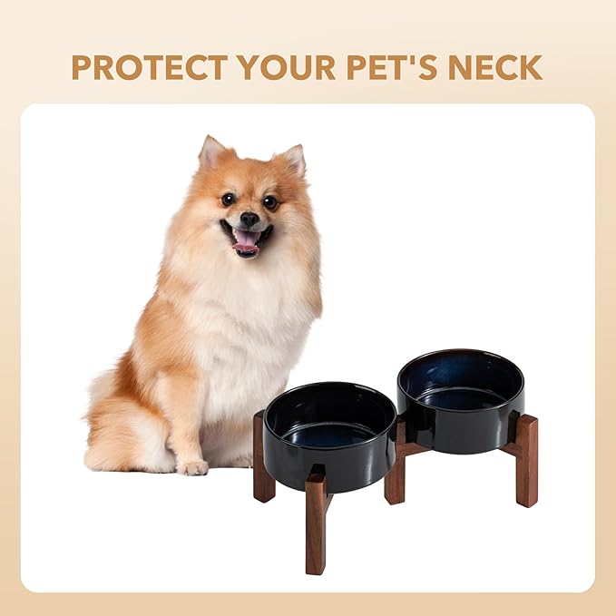 Ceramic 6.1inch Raised Double Dog Bowls Set - Image 7