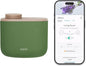 Aera Mini Home Fragrance Diffuser Plug-In: Smart Home App Aroma Control by Aera