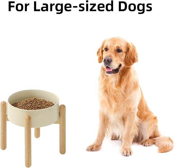 Ceramic 8.2inch Raised Dog Bowl - Image 4