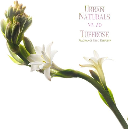 Urban Naturals Tuberose Fragrance Oil Reed Diffuser | Exotic Tuberose and - Image 5