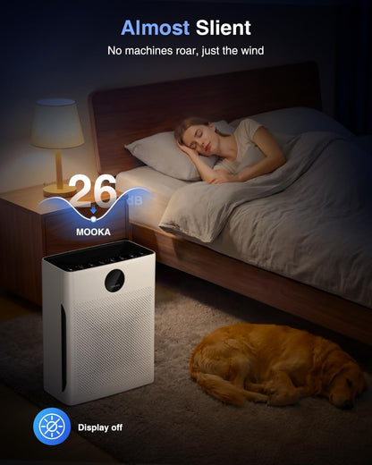 air purifiers for home large room up to, front angle view