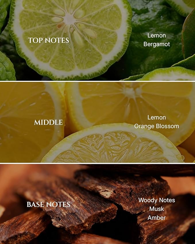 Citrus Hotel Diffuser Oil Inspired by Luxury Hotel Scent, Essential Oils - Image 2