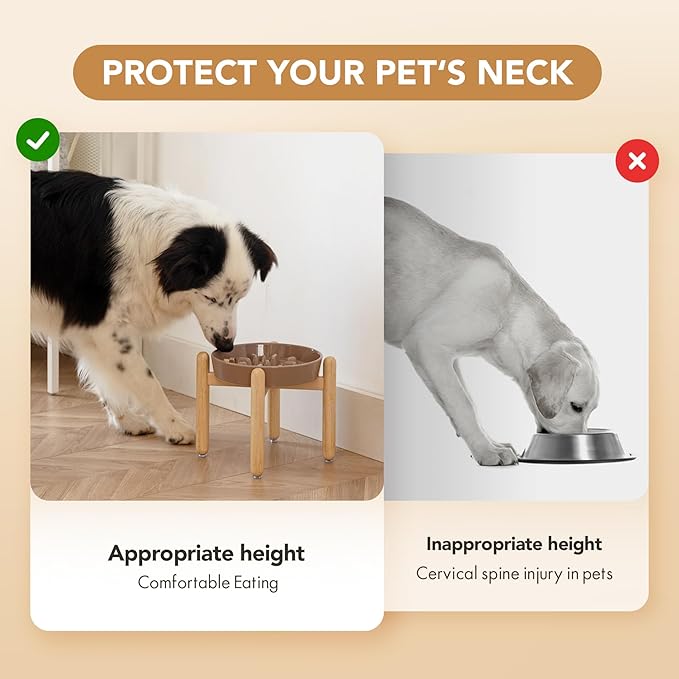 Ceramic 1.6 Cup Dog Raised Slow Feeder Set, Elevated Bowl - Image 7