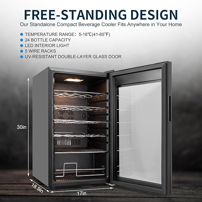 24 Bottles Wine Cooler Refrigerator, Small Wine Fridge Mini Wine Fridge - Image 4