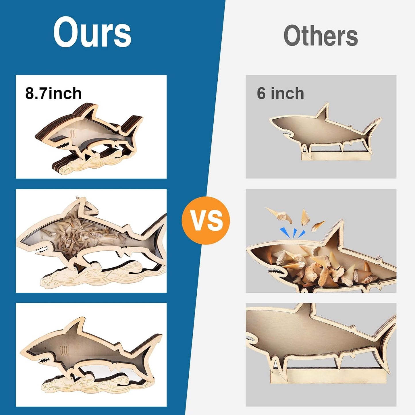 8.7 In Shark Tooth Display Case,Handmade Shark Teeth Shadow Boxes Display Cases,Wood Shark Teeth Holder,Shark Tooth Display Box,Shark Tooth Collection,Shark Decor Beach Gifts