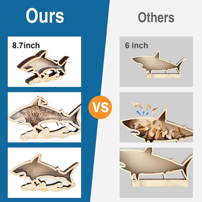 8.7 In Shark Tooth Display Case,Handmade Shark Teeth Shadow Boxes Display Cases,Wood Shark Teeth Holder,Shark Tooth Display Box,Shark Tooth Collection,Shark Decor Beach Gifts