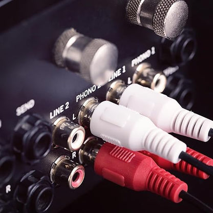 Sjorks RCA Cable 100ft, 2RCA Male to 2RCA Male, Audio Stereo Subwoofer Cable - Image 4