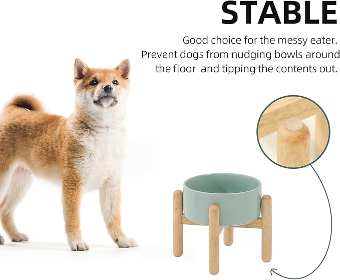 Ceramic 6.1inch Raised Dog Bowl - Image 7