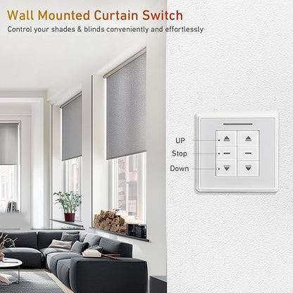 AC228-01 Crystal Style Double Routes Radio Receiver, AC to 24V Motor Switch - Image 4