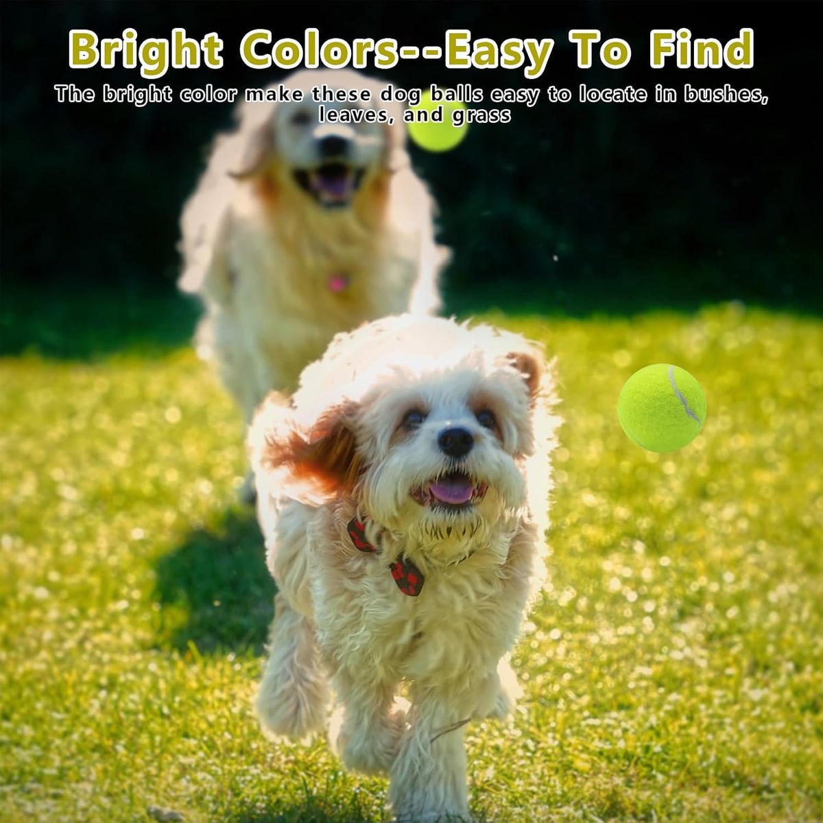 Magicorange Small Tennis Balls, 60 Pack 2 inch Tennis Balls for Dogs