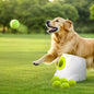 ALL FOR PAWS Automatic Ball Launcher for Dogs Interactive Puppy Pet Ball by Home