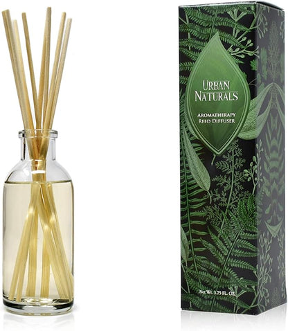 Urban Naturals Coconut Breeze Reed Diffuser Oil Set by UrbanNaturals