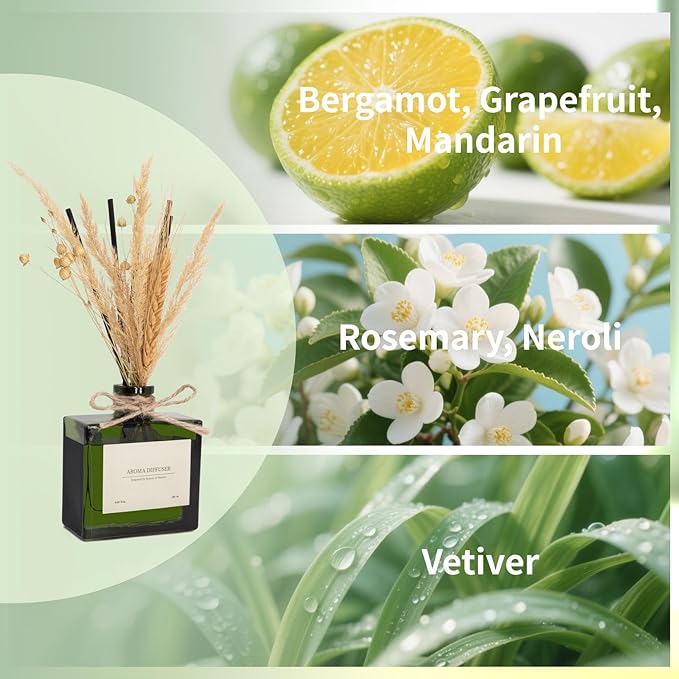 Reed Diffuser, 6.09 oz Citrus Grove Scent Diffuser - Image 2