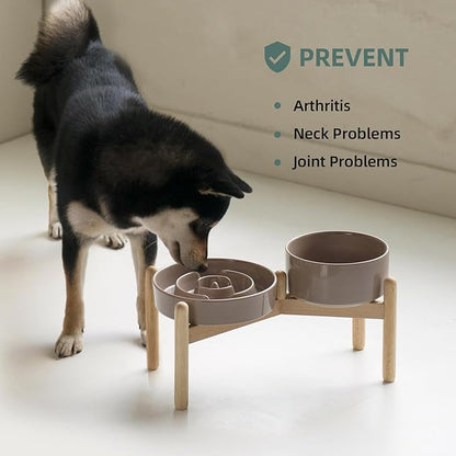 Ceramic 1.2 Cup Raised Slow Feeder Dog Bowl Set, Elevated 6.1inch Bowl and - Image 5