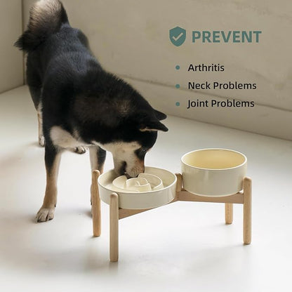Ceramic 1.2 Cup Raised Slow Feeder Dog Bowl Set, Elevated 6.1inch Bowl and - Image 5