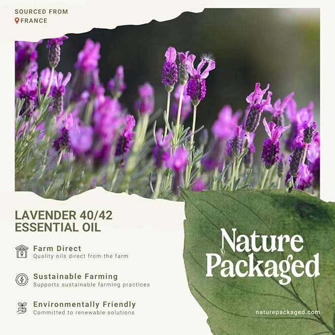 Lavender 40/42 Essential Oil Direct from France - Image 7