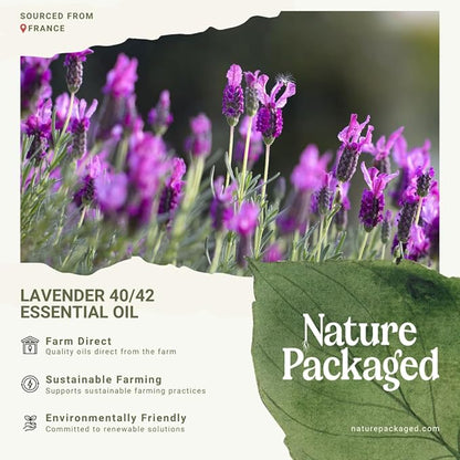 Lavender 40/42 Essential Oil Direct from France - Image 7