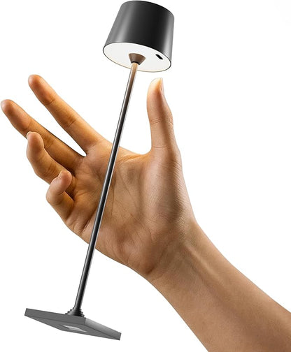 Compact Cordless Table Lamp, Rechargeable LED Night Light, Dual Light Source by Timjorman
