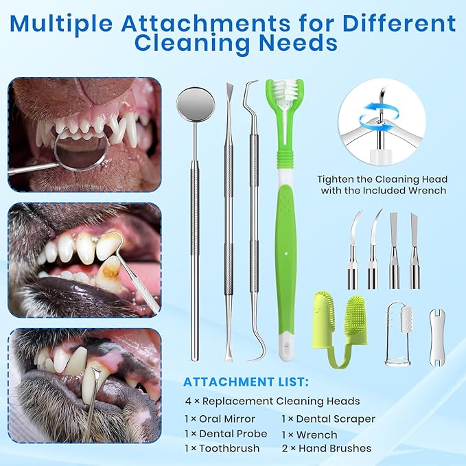 Dog Plaque Remover for Teeth, Pet Tooth Cleaner - Image 7