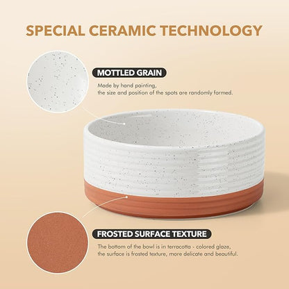 Ceramic 7.3inch Raised Dog Bowl Set, Elevated - Image 4