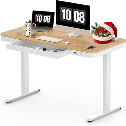 SANODESK Standing Desk with Drawer, Electric Height Adjustable Home Office Desk by sanodesk